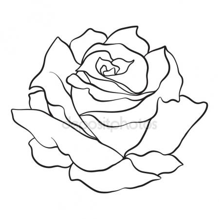 450x450 Rose Outline Rose Drawing Outline Free Download Clip Art On Jpg