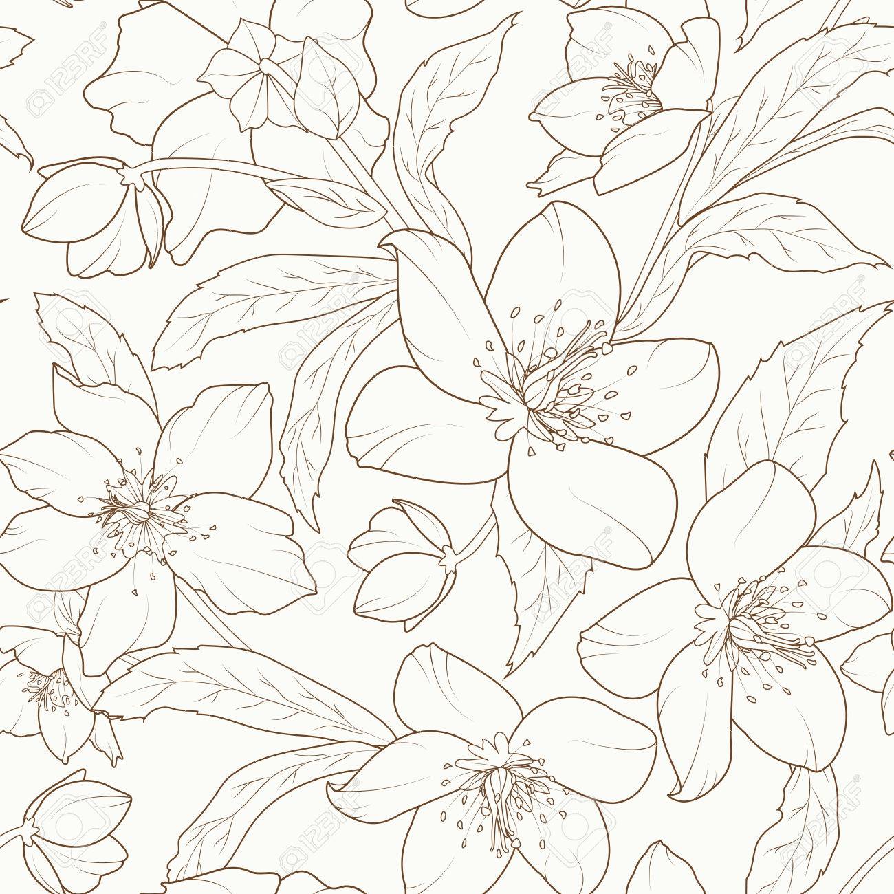 1300x1300 Christmas Rose Flowers Seamless Pattern. Hellebore Winter Rose