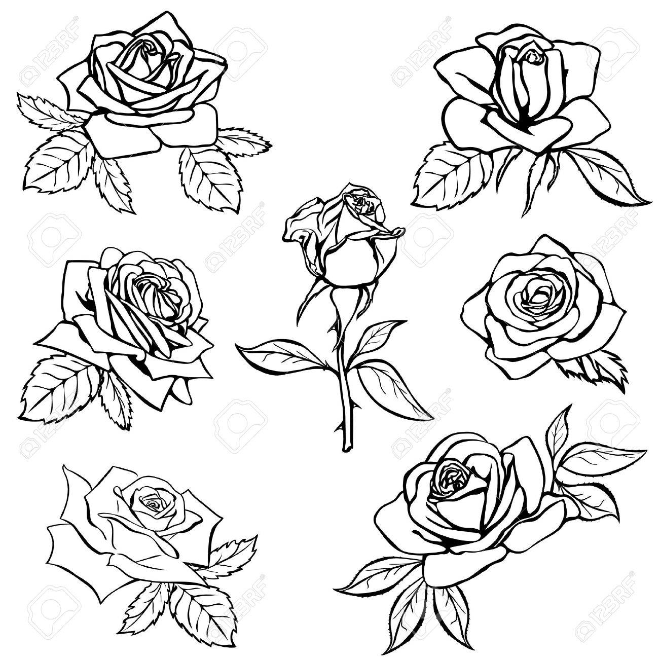 Rose Drawing Outlines at GetDrawings | Free download