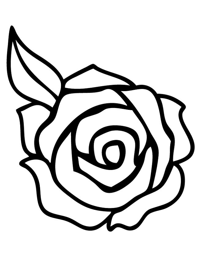 650x841 The Best Rose Outline Drawing Ideas On Watercolor