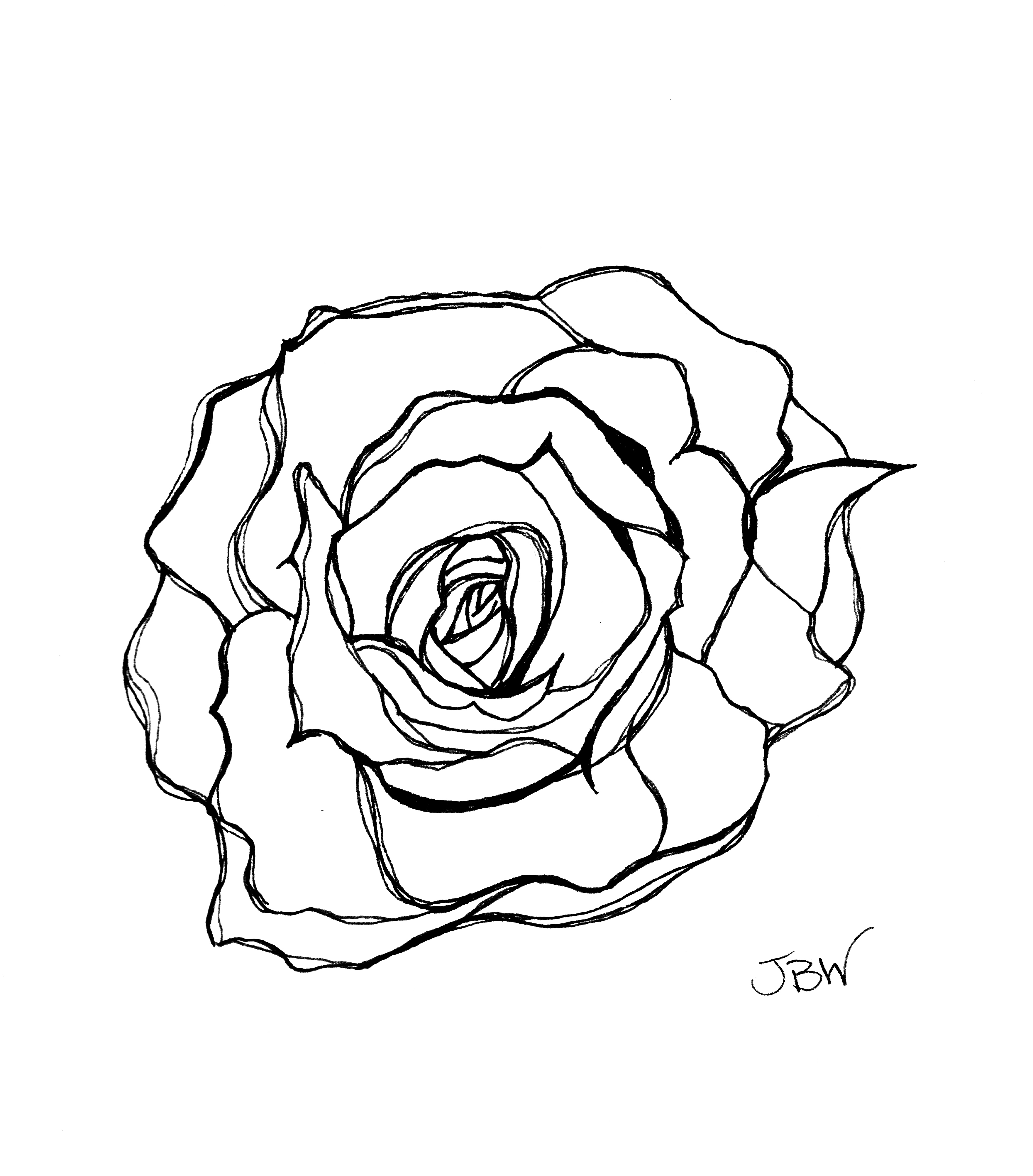 3522x4008 Modern Rose Pen And Ink