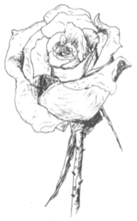 283x456 Colour In Or Draw Baskets Of God's Flowers