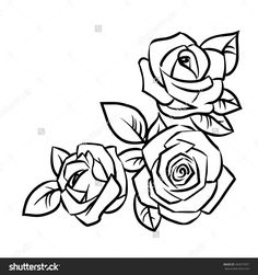 236x251 Pictures Simple Rose Sketch,