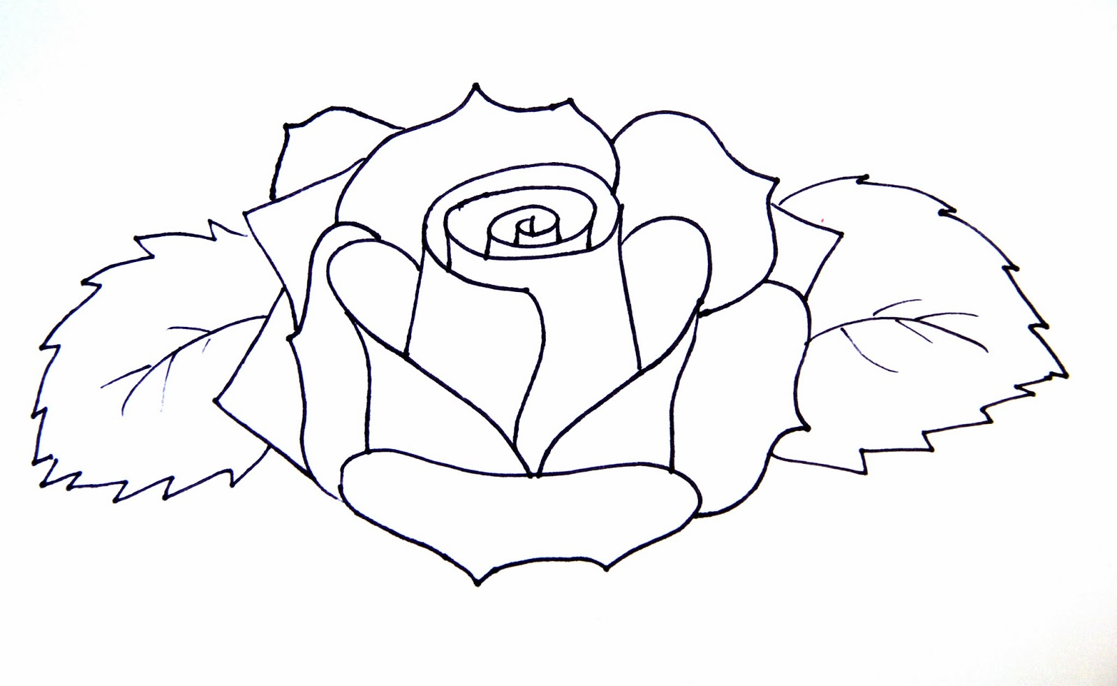 1600x982 Simple Rose Drawing Step By Step Hoontoidly Simple Rose Drawing