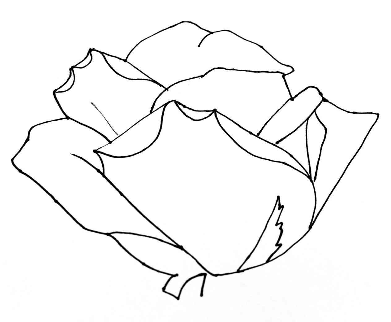 1264x1040 Drawing Easy Pictures Of Roses To Draw A Rose In Simple Stencil