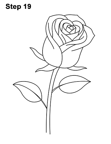 386x500 Drawn Red Rose Black And White Step By Step