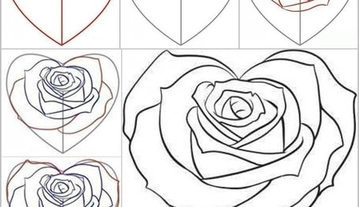 736x425 Step By Step Drawing A Rose Best 25 How To Draw Roses Ideas