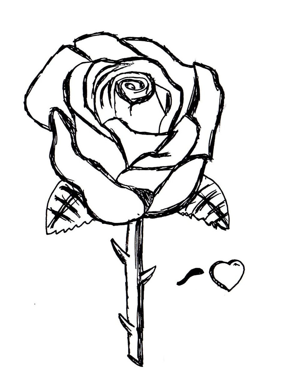 900x1238 Rose Coloring Pages