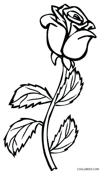 346x581 Top Rated Rose Coloring Page Images Rose Flower Coloring Page View
