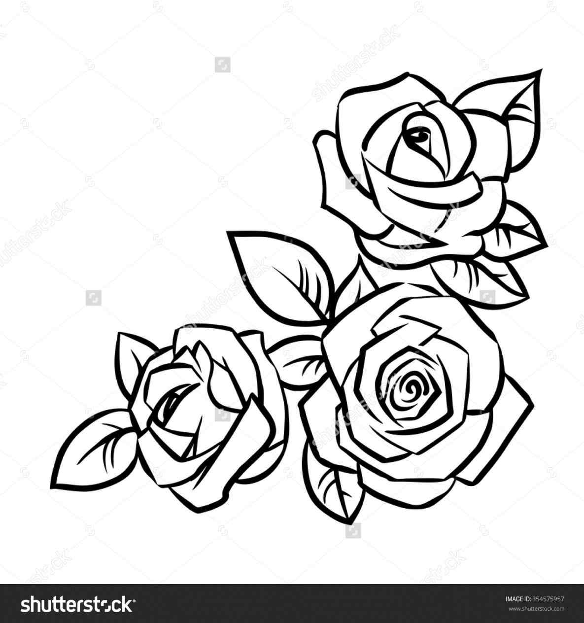 1185x1264 Gallery How To Draw A Rose Youtube,
