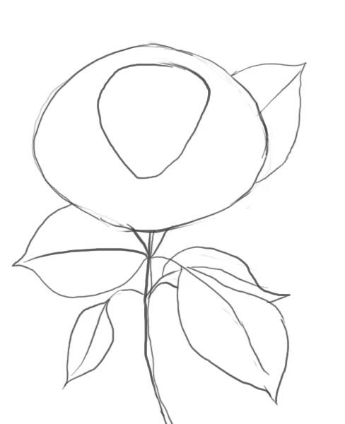 Rose Drawing Tutorial