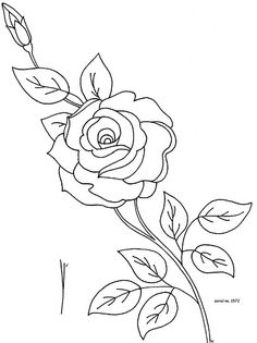 236x315 How To Draw Roses Opening In Full Bloom Step By Step Drawing