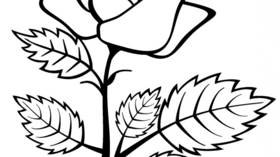 570x320 Rose Drawing For Kids How To Draw A Rose Flower