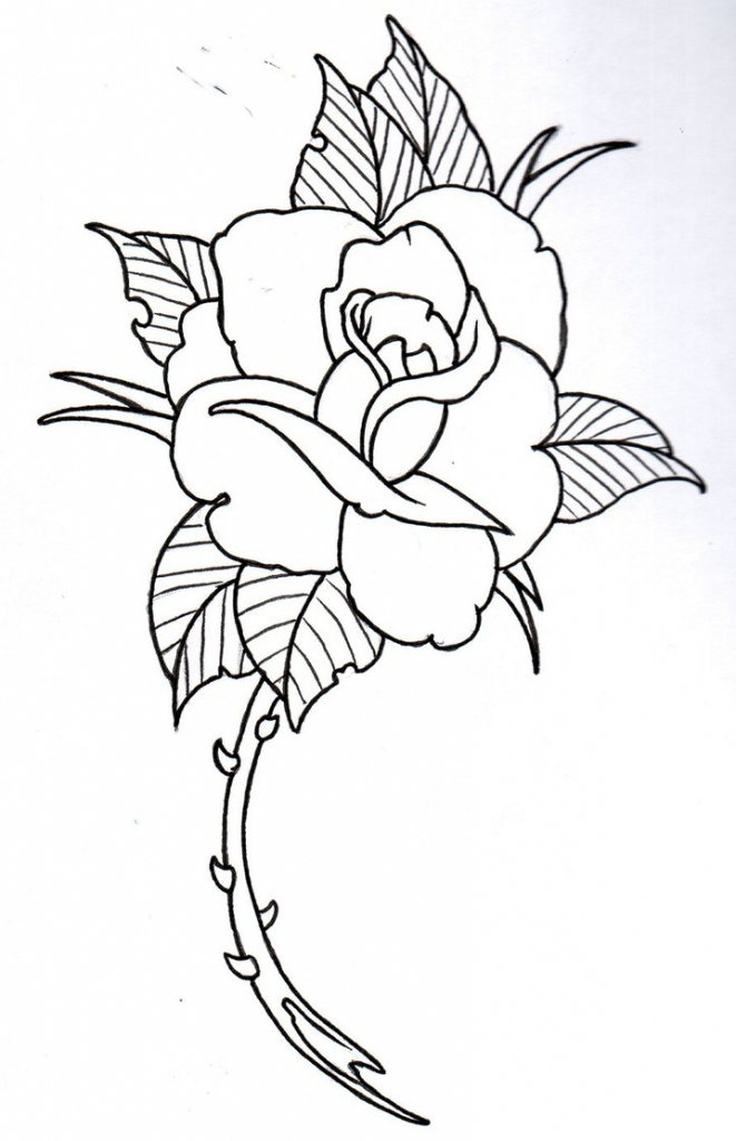 661x1024 Rose Flower Outline Drawing 1000 Images About Rose Drawings