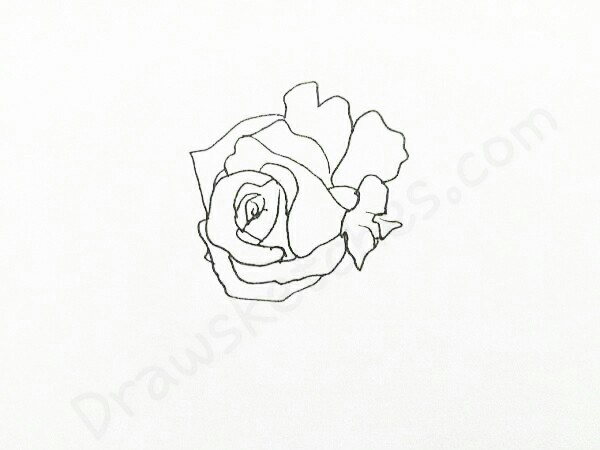 600x450 How To Draw A Rose In 16 Easy And Detailed Steps With (Pictures)