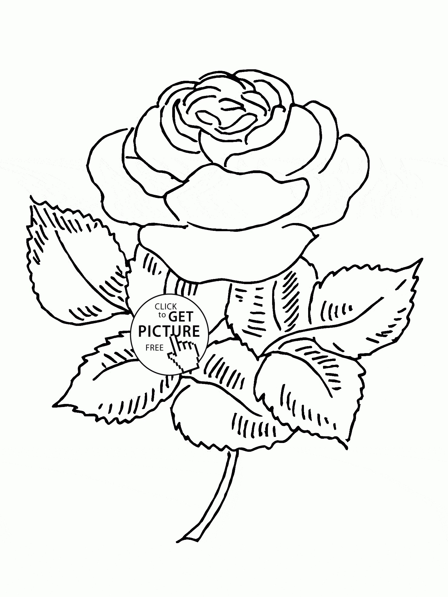 1480x1973 Nice Rose Flower Coloring Pages For Kids Beautiful Rose Flower