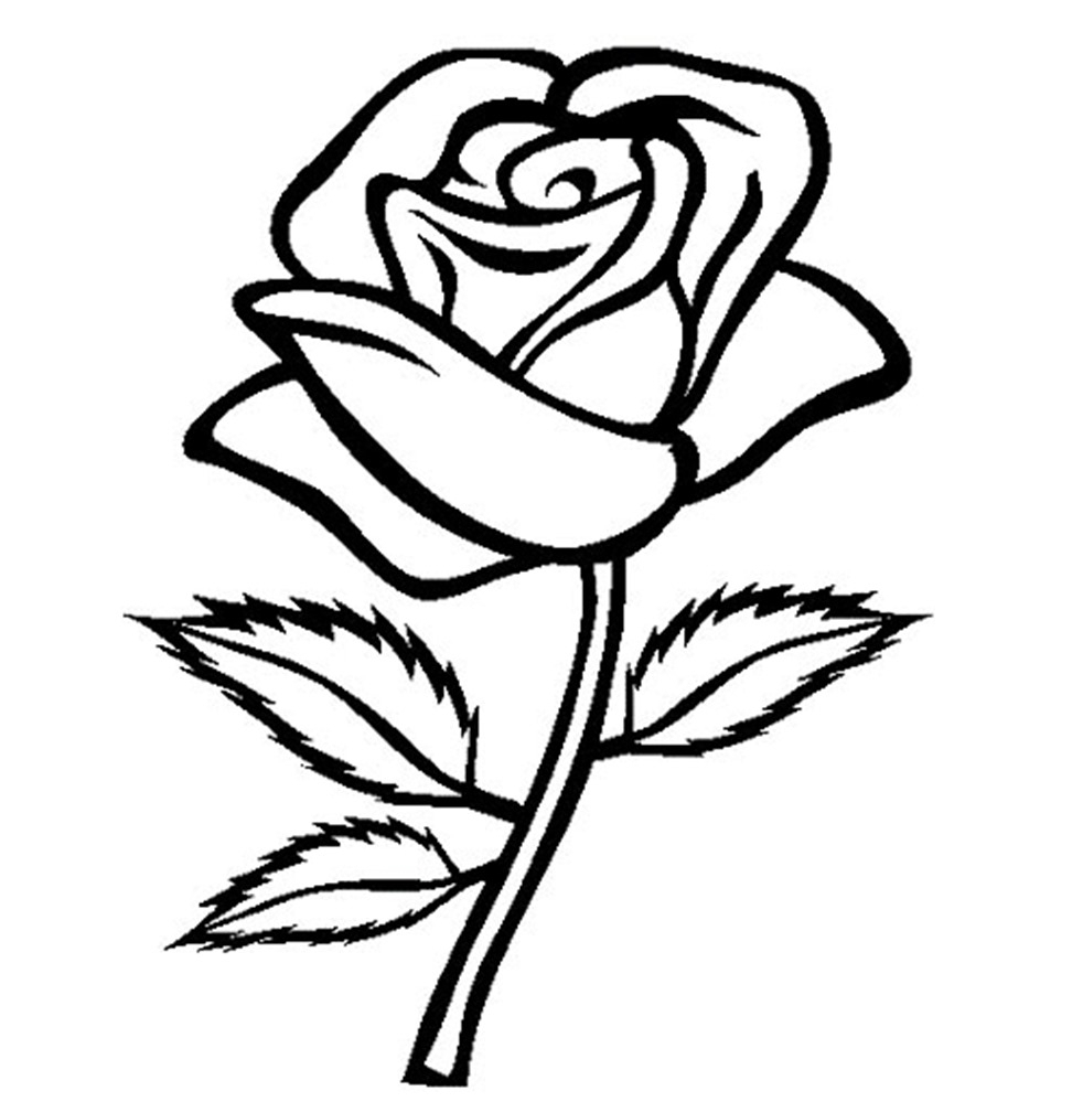 982x999 Rose Flowers Sketch Drawing How To Draw A Rose Flower