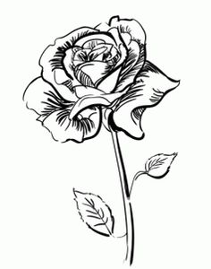 236x300 Tips How To Draw A Rose Step By Step For Beginners