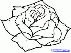 236x178 Photos Drawings Of Roses Flowers,