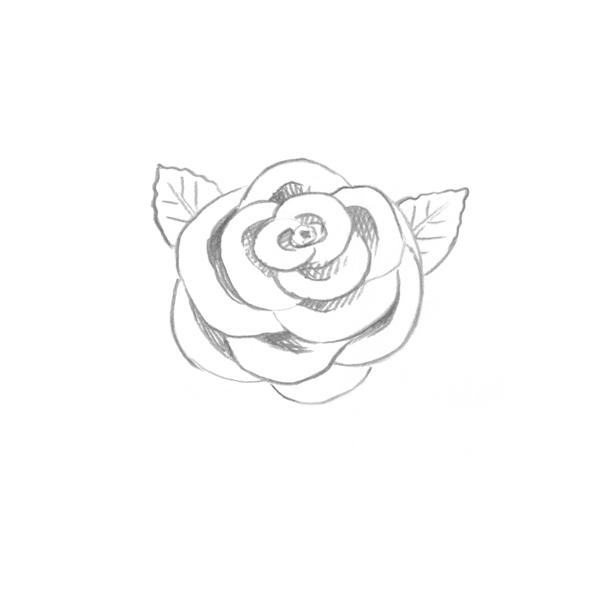 600x596 Use Ink Liners To Create A Skull And Roses Drawing