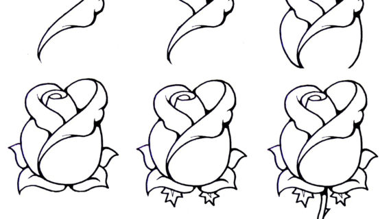 570x320 Drawing A Rose For Beginners