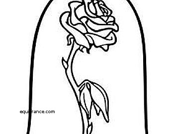 340x270 Vases Design Best Of Beauty And The Beast Flower Vase