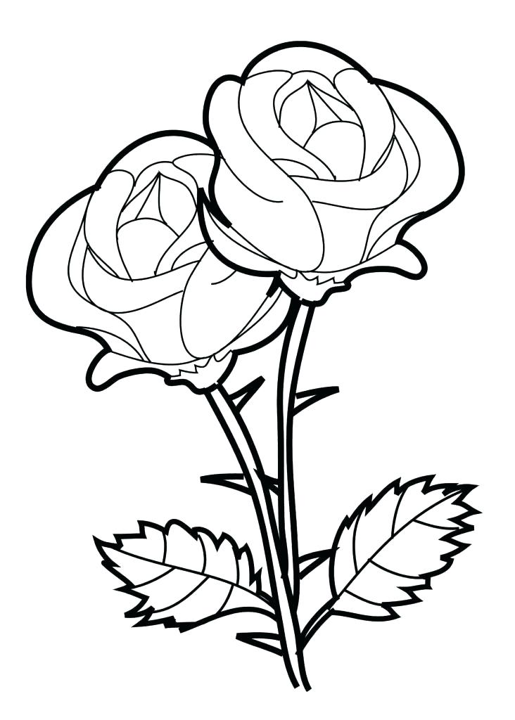 732x1024 Beauty And The Beast Coloring Pages Rose