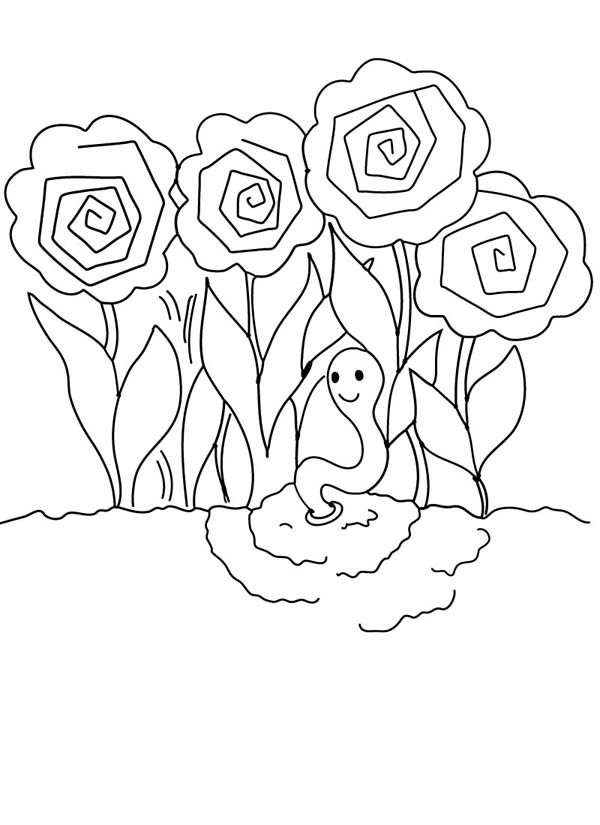 600x825 Peonies Roses Garden And Earthworm Coloring Pages Batch Coloring