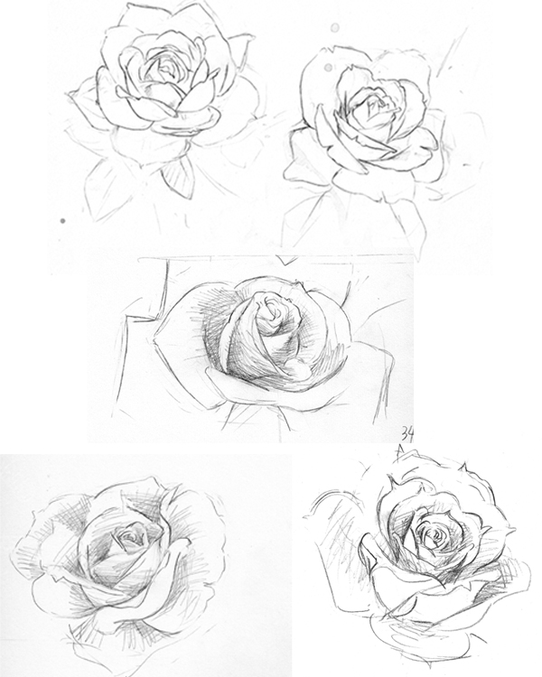 600x750 Sketch In The Rosegarden By Harakirimushi