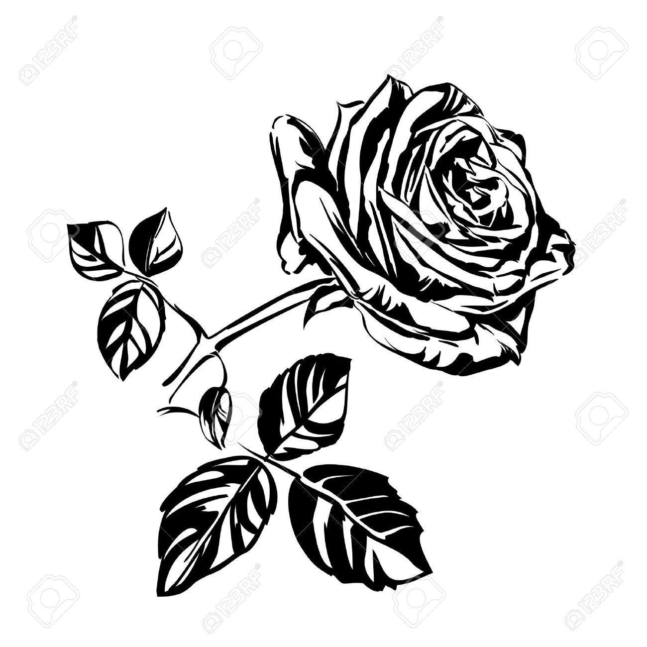 1300x1300 Hand Drawn Roses Royalty Free Cliparts, Vectors, And Stock