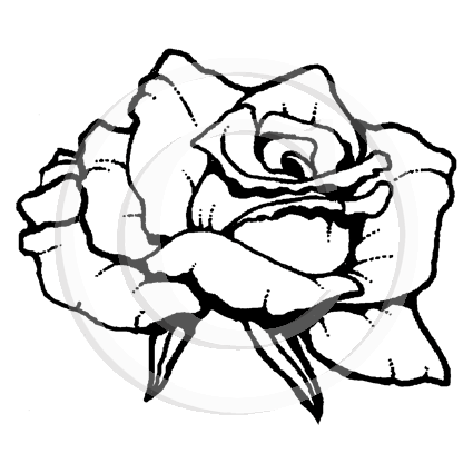 Rose Head Drawing
