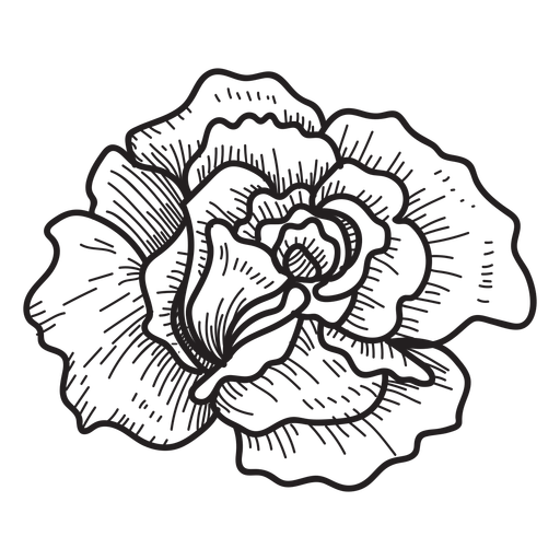 512x512 Rose Head Sketch Icon