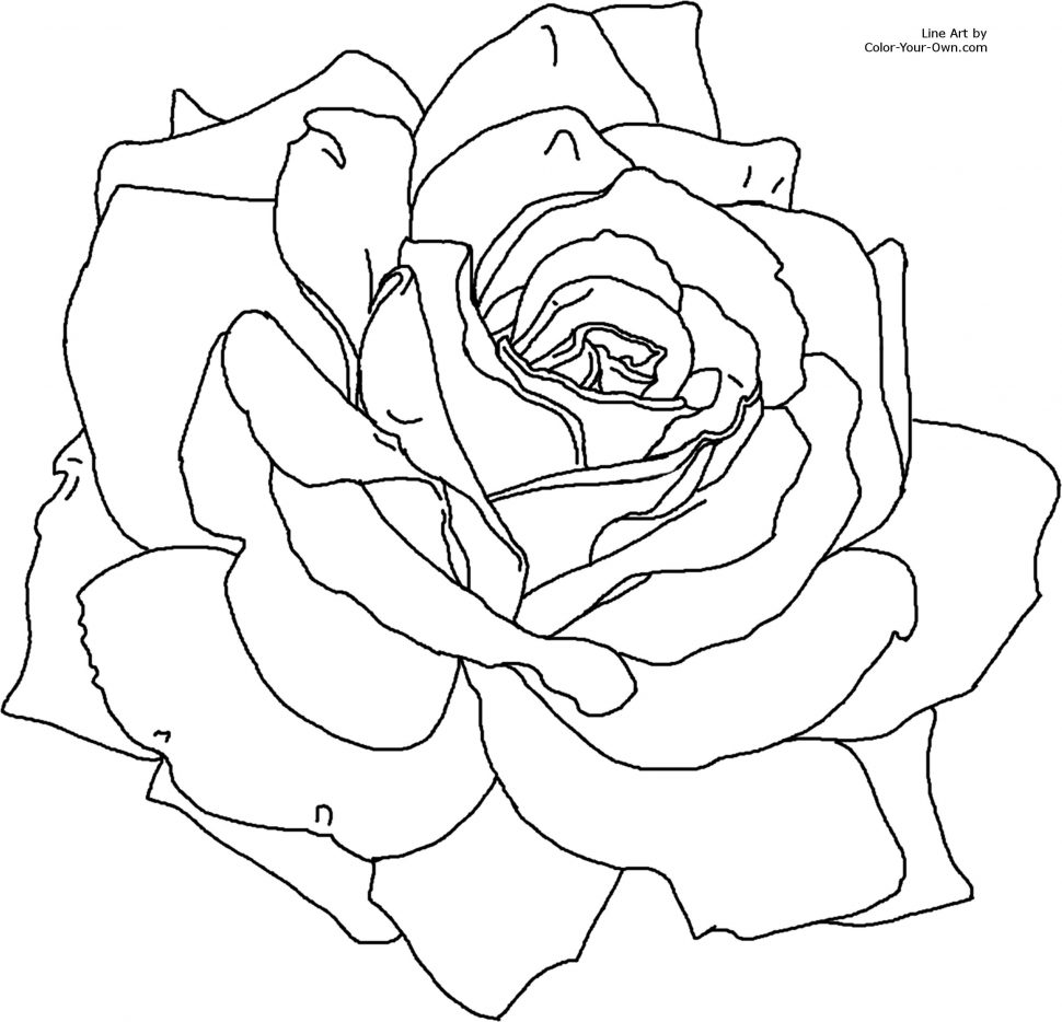 970x934 Coloring Pages Stunning Coloring Pages Draw A Rose For Kids