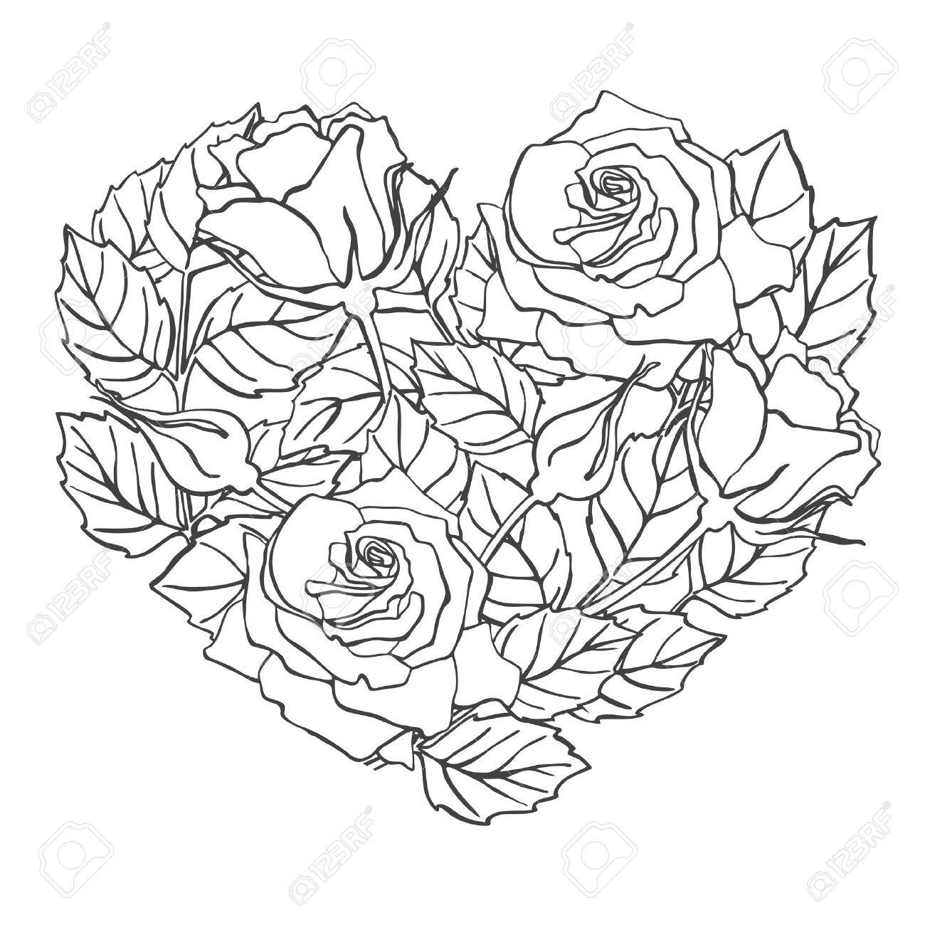 1300x1300 Vector Line Rose Heart Shape Illustration. Great For Wedding
