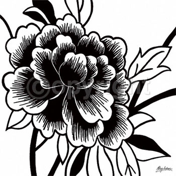 350x350 Rose Drawings, Rose Art Drawings, Drawing Of A Rose