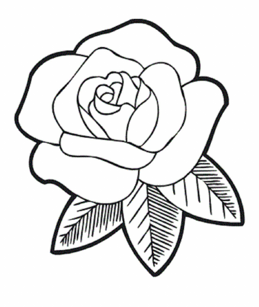 864x1024 Drawing Pictures Of Rose Flowers How To Draw A Rose Flower Easy