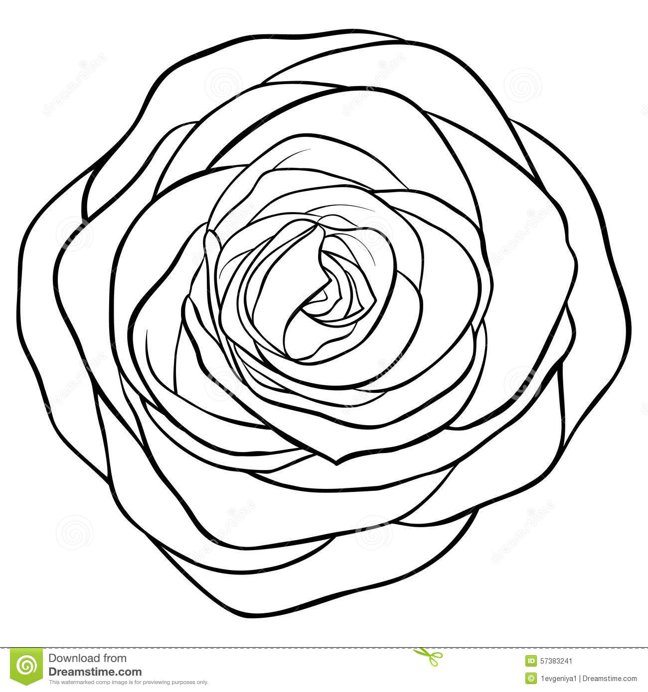 1300x1390 Drawn Rose Contour Drawing