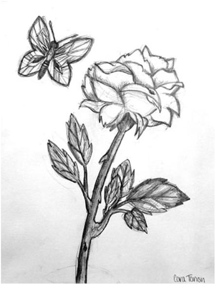 442x584 Photos Rose Art By Pencil,