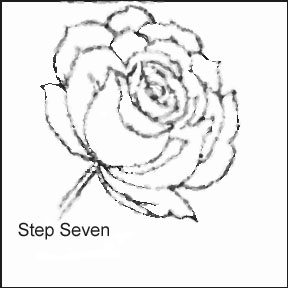 288x288 Rose Pencil Drawings Created For You Where You Can Learn To Draw