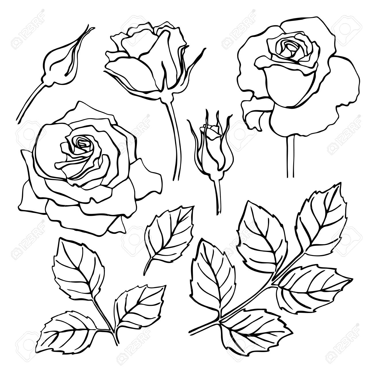 Rose Leaf Drawing at GetDrawings | Free download