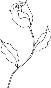 200x347 Rosenothorns.jpg