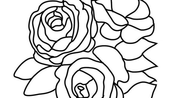585x329 Coloring Book Roses Pages With Heart Rose Sketch P On Valentines