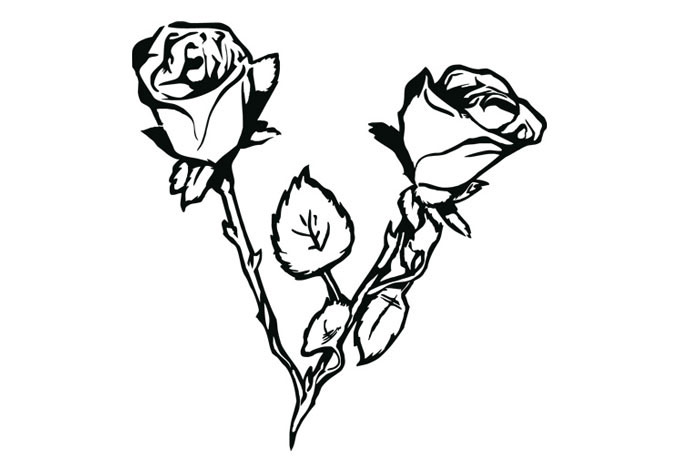 680x472 Drawn Rose Bush Leaf