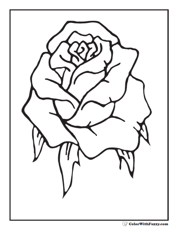 590x762 Rose Coloring Pages Customize Pdf Printables