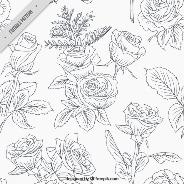 626x626 Rose Pattern Vectors, Photos And Psd Files Free Download