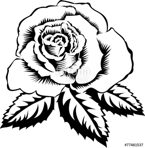 489x500 Silhouette Outline Rose With Leaves. Vector Tattoo Illustration