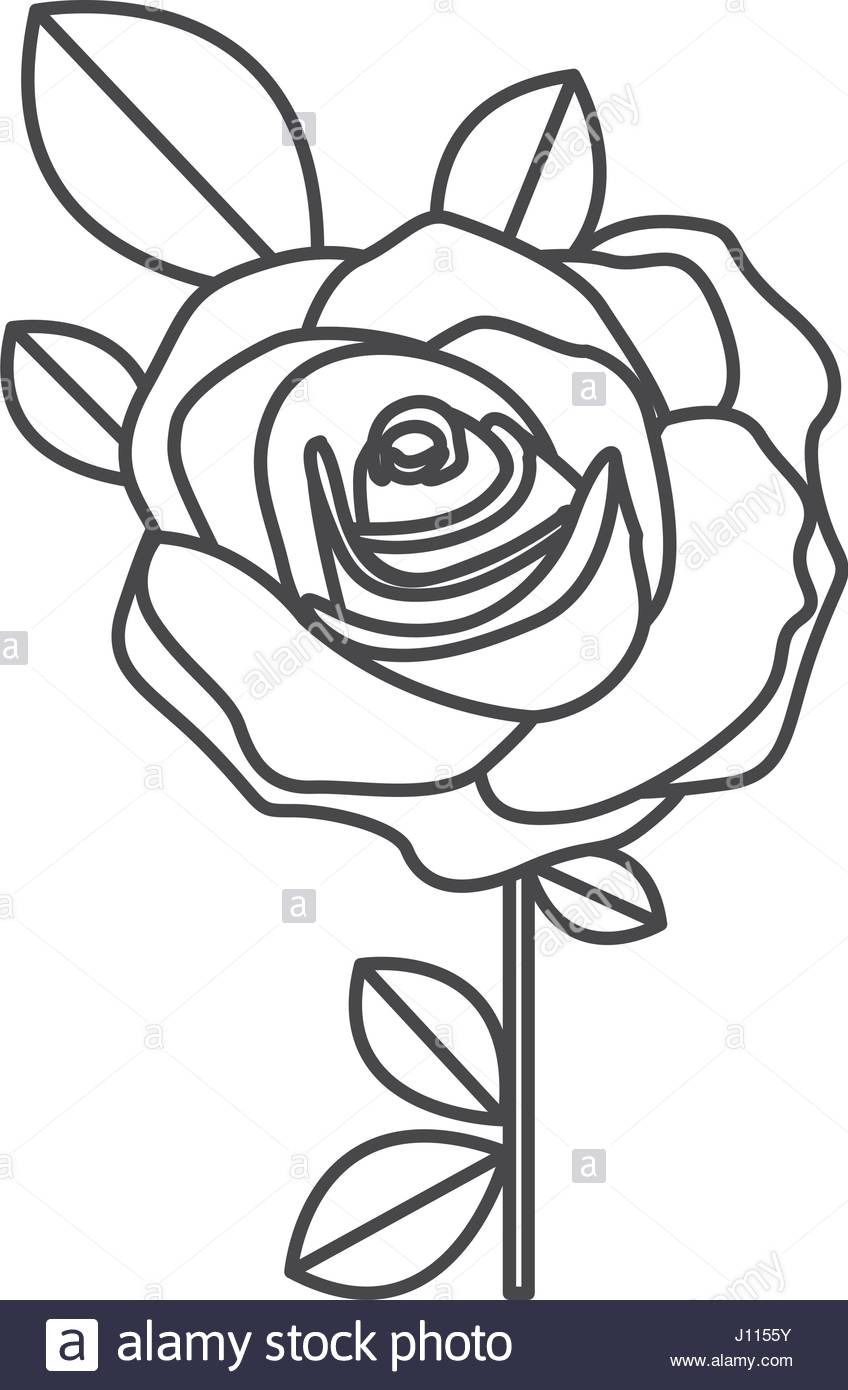 848x1390 Silhouette Sketch Flowered Rose With Leaves And Stem Stock Vector