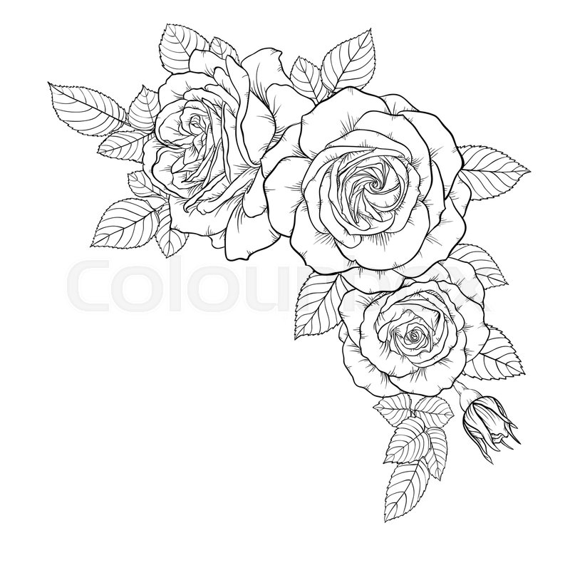 800x800 Beautiful Black And White Bouquet Rose And Leaves. Floral