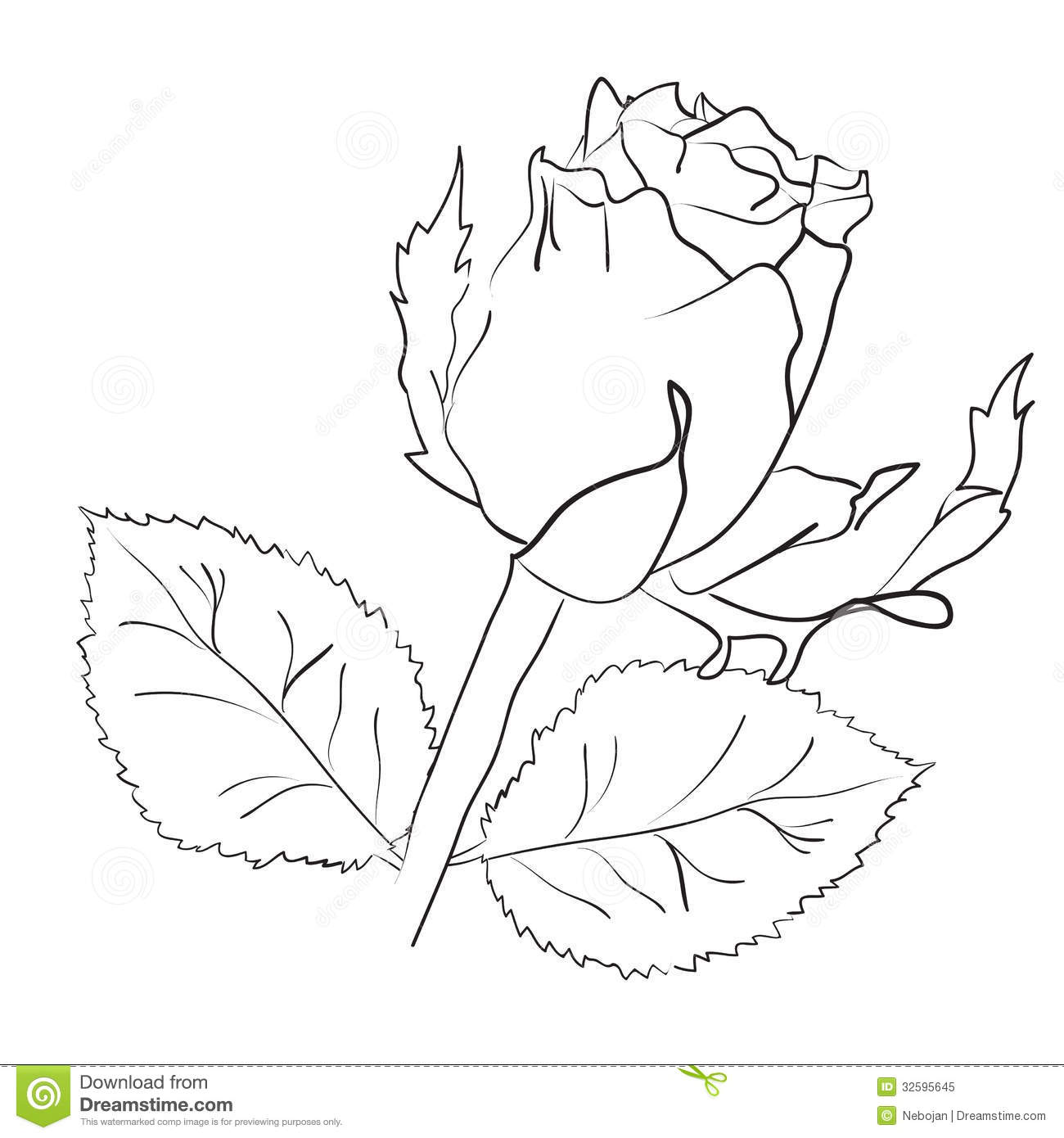 1300x1390 Best Photos Of Rose Leaves Drawing