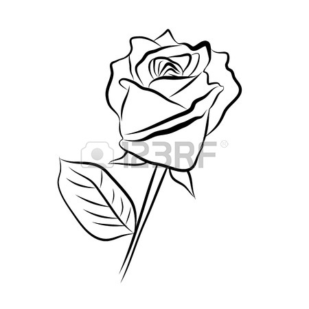 450x450 Sketch Line Drawing Of Rose Isolated Illustration On White